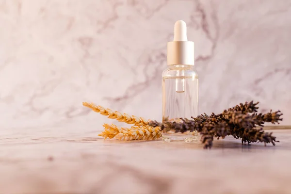 Humectante de colágeno de la cara en botella transparente sobre fondo de mármol suave. Productos ecológicos para la belleza. Cosméticos orgánicos con lavanda. Hierbas secas. Blogger de belleza, terapia de salón, spa, sauna y — Foto de Stock