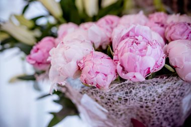 Taze parlak şakayık çiçekleri yapraklarına çiy damlaları düşer. Pembe ahbap. Boşluğu kopyala. Mutlu anneler günü, çiçekli tebrik kartı modeli. Uluslararası Kadınlar Günü. Sevgililer Günü. Aşk ve romantik