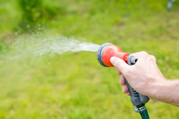 Innaffiatoi e piante nel giardino estivo da irrigatore.Innaffiatura prato erba con una testa spruzzatore doccia.sistema di irrigazione manuale irrigazione aiuole, un prato verde e cespugli fioriti.Tubo flessibile — Foto Stock