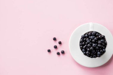 Seramik bardakta taze organik yaban mersini. Kopya uzayı, pembe arka planda izole edilmiş. Beyaz kapta taze çiğ organik yabanmersini. Hasat. Sağlıklı yiyecekler. vejetaryen yemeği.