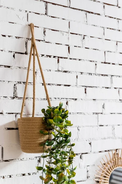 Muur ontwerp opknoping boom pot op witte baksteen achtergrond.home plant opknoping op de muur. Voor achtergrond, behang, presentatie, lente, zomervakantie visueel communicatie ontwerp concept.Scandinavian — Stockfoto