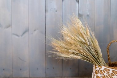 Elegant Bush of dry grass in basket decorated at cafe against wooden wall background.bundle of ears.Golden ears of wheat in vase.home decoration.Natural eco home decor with wild rye bouquet.