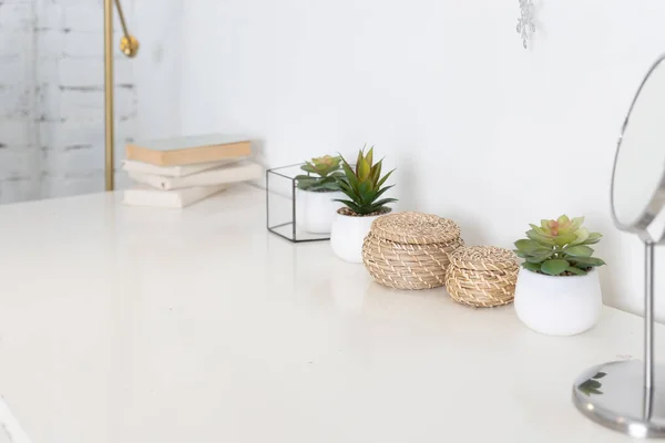 Office or home office desk with decorative plants and cactus. office table desk. Workspace with books and green plant succulent on white background. — Stockfoto