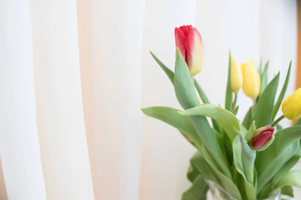 Colorful tulips over a beige background, composition with copy space.Spring background. bouquet colorful tulips.Holiday greeting card for Womans Day, Mothers Day, Easter. — Stok fotoğraf