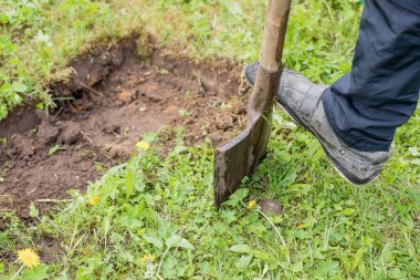 Bahçıvan, kürekle bahçe küreği kazıyor. Toprakta çiftçilik, bahçıvanlık, tarım ve insan kavramı. Kürekle bahçe yatağı ya da çiftlik yatağı kazan adam..
