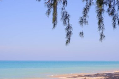 Kumsalda güzel ağaçlar ve mavi gökyüzünde güneş olan tropik bir sahil. Yaz manzarası. Sahilde beyaz kum ve denizde mavi su olan güzel deniz manzarası. Seyahat kavramı