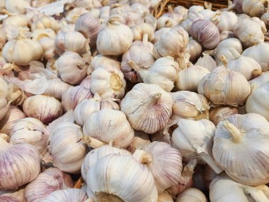 Sarımsak arkaplanını kapatın. Pazar masasında taze sarımsak. Yakın plan fotoğraf. Vitamin sağlıklı yiyecek baharatı görüntüsü. Baharatlı yemek malzemesi resmi. Beyaz sarımsak kafalar. Beyaz sarımsak, çiftlik..