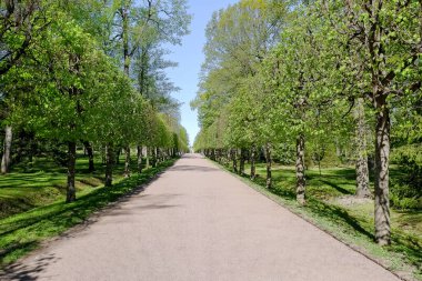 Şehir parklarındaki tüm aktif dinlenme alanlarının kapatılması. Çocuk parkları, piknik barınakları, boş parklar dahil.