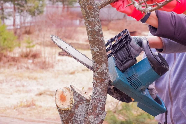 Detail van een houtzaag in de tuin.Professionele tuinman zaagt takken aan een oude boom, met behulp van een kettingzaag.Trimboom met kettingzaag in achtertuin huis. Zorg voor natuur, ecologie en verbetering — Stockfoto