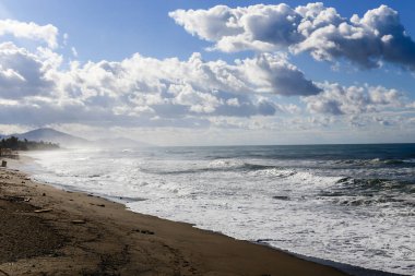 Uçan martens ile turkuaz deniz ve gri gökyüzü
