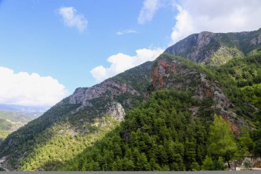 Çam ormanları ile kaplı dağları görünümünü