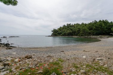 Güzel lagün ile çam ormanları Phaselis Antik kıyısında 