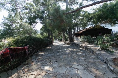 Çam ağaçları arasında yürüyüş yolu taş döşeli