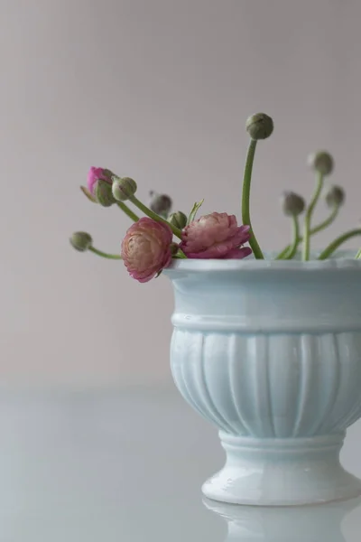 Розовый ранкулус в бледно-зеленой керамической вазе — стоковое фото