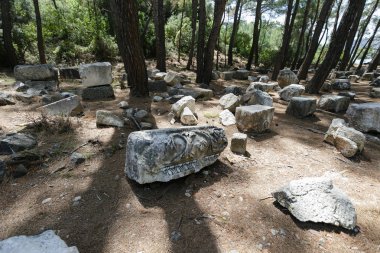 Phaselis antik şehir içinde süslü mermer parçaları