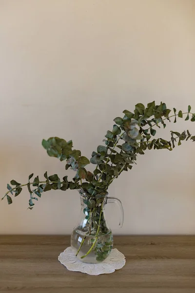 Jarra de vidrio con ramas de eucalipto decorativo — Foto de Stock
