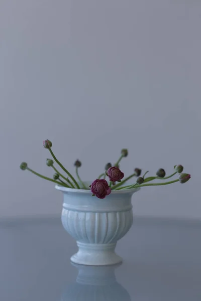 Розовый цветок в керамической вазе — стоковое фото