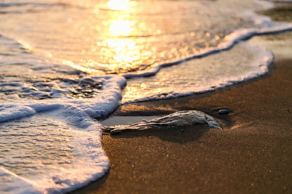 日没の光の下で波のクローズ アップ — ストック写真