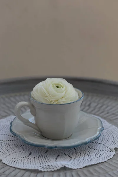 Белый ranunculus в чашке помещены на металлический поднос — стоковое фото