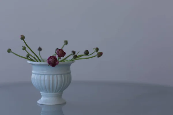 Růžová květina v keramickém vázu — Stock fotografie