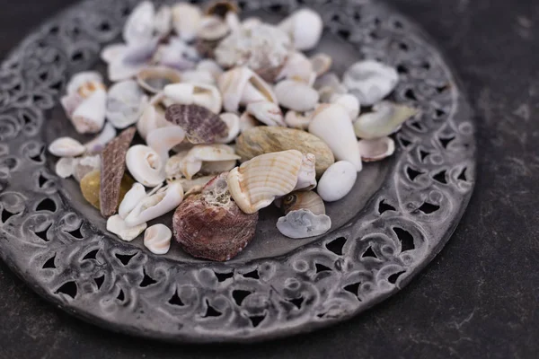 Close up of seashells on metal plate — Stock Photo, Image