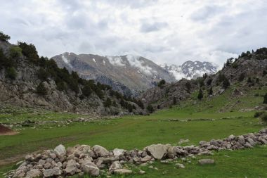 Dağ manzarası meadows kayalar ve çam ağaçları 