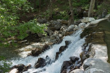 Dağ nehir güçlü su akışı ile