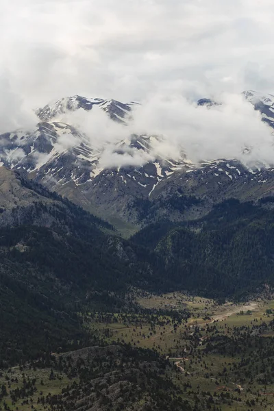 Ορεινό τοπίο με πεύκα και melitng χιόνι — Φωτογραφία Αρχείου