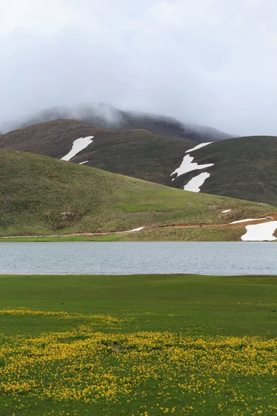 Lac Dans Les Montagnes Avec Herbe Des Fleurs Jaunes Face — Photo