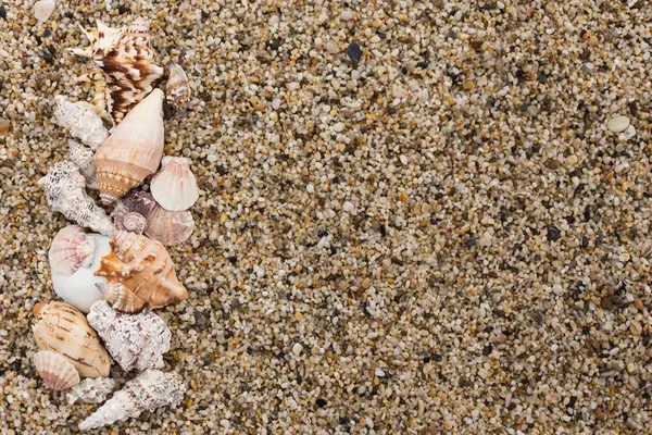 Muscheln auf kleinen Kieselsteinen mit Kopierraum — Stockfoto