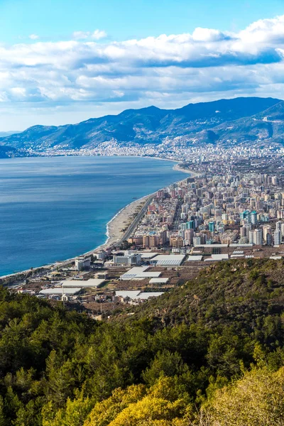 Birds eye view shot of mediterranean coastal town Alanya in Turkey with hill covered by pine forest at the foreground and Alanya\'s development areas at distant view. Vertical composition.
