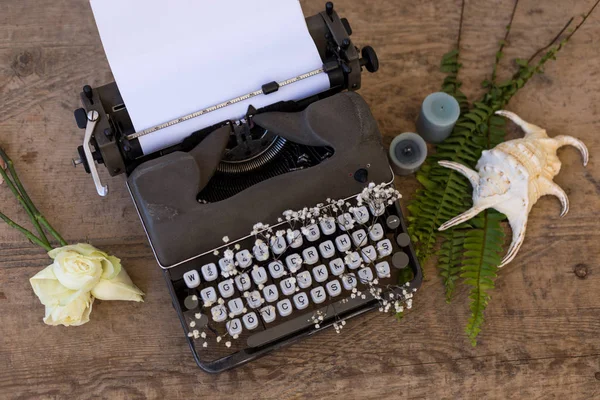 Spring or summer writing and freelance concept. Topview shot of vintage typewriter with flowers between its keys.