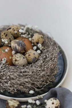 Paskalya konsepti. Tavuk, bıldırcın yumurtası ve çiçek. Olumsuz.