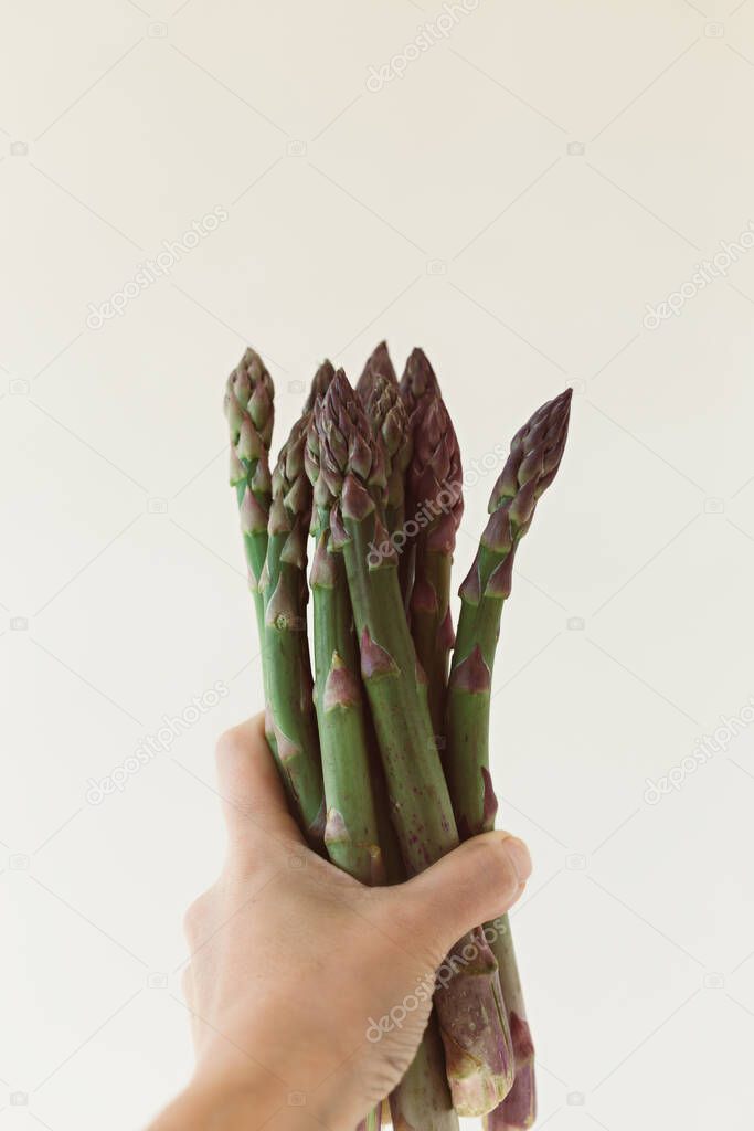 Hand holding asparagus against white wall