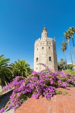 Torre Del Oro Seville, İspanya, alınan bir atış