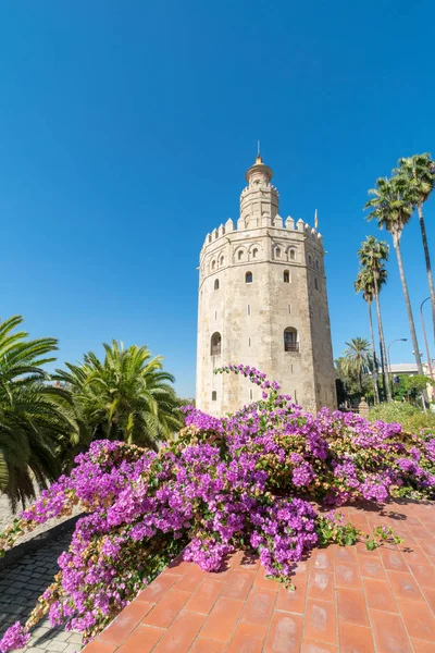 Torre Del Oro Seville, İspanya, alınan bir atış