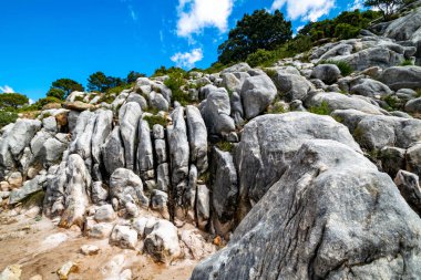 İspanya 'nın Marbella kentindeki dağlarda bir yürüyüş yolu boyunca yıpranmış kayalar. 
