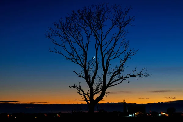 Gece / güzel günbatımı manzara