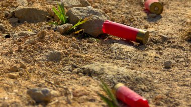 Kırmızı av tüfeği kovanları.