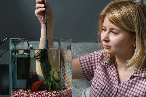 Jovem mulher limpando aquário com peixe beta em casa . — Fotografia de Stock