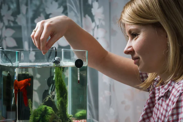 Jovem mulher alimentando peixes beta em aquário em casa . — Fotografia de Stock