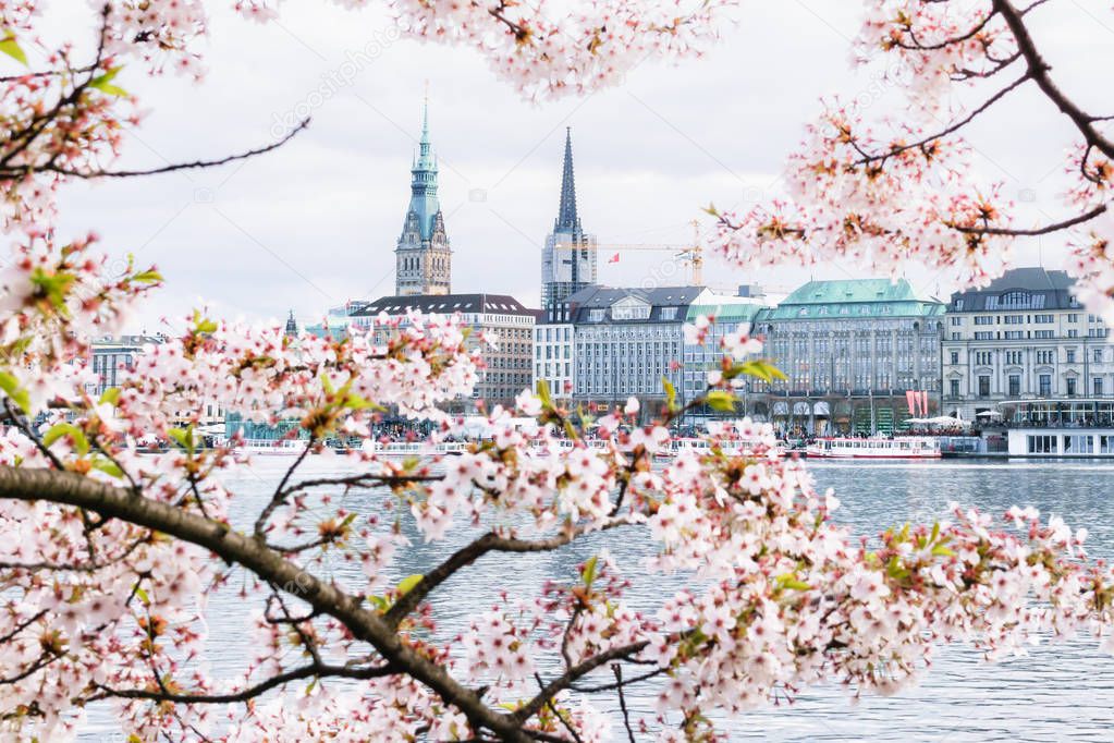 Beautiful view of Hamburg townhall - Rathaus and Alster river at sunny spring day.