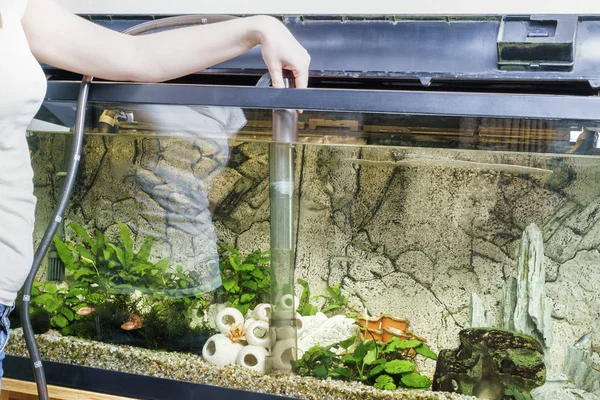 Young woman cleaning aquarium with pump at home. — Stock Photo, Image