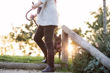 Anonim kadın bir köpek yürüyüş