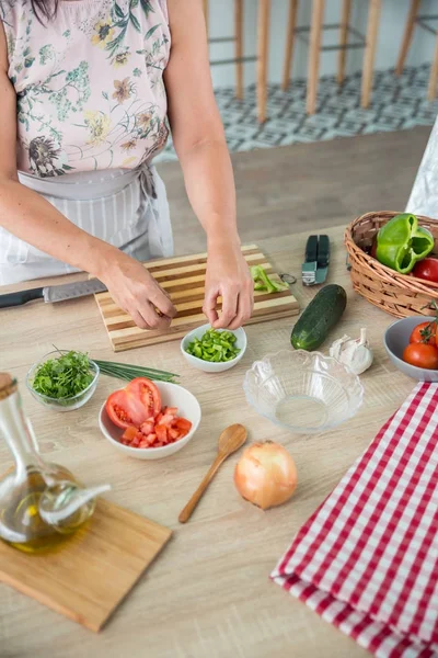 kadın bir gazpacho hazırlanıyor