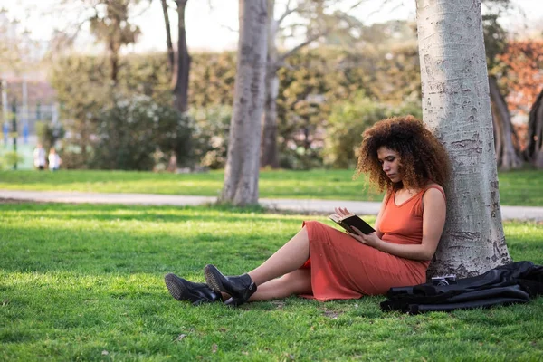 afro kadın açık havada bir kitap okuma