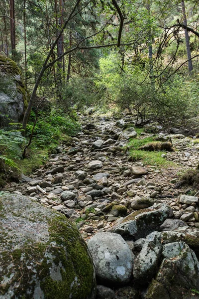 Pemandangan sungai kering — Stok Foto