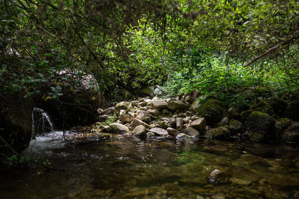 River in forest mountains Royalty Free Stock Photos