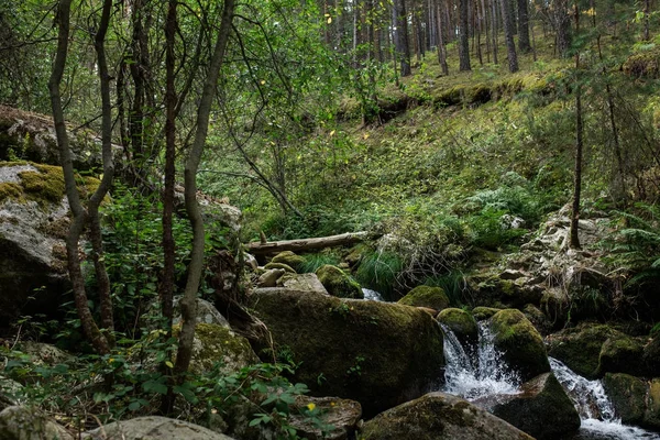 Rivier in bos bergen Stockfoto