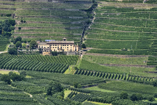 Passo dell'Aprica (Italien) — Stockfoto